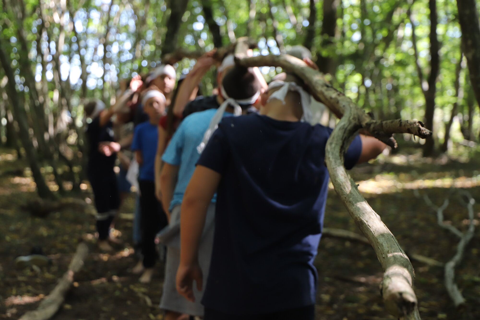  “Tout-terrain : danse en immersion sensible en milieu naturel”// Clara Cornil 